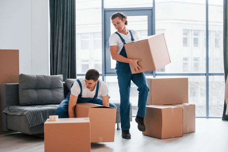 Professional Moving Team